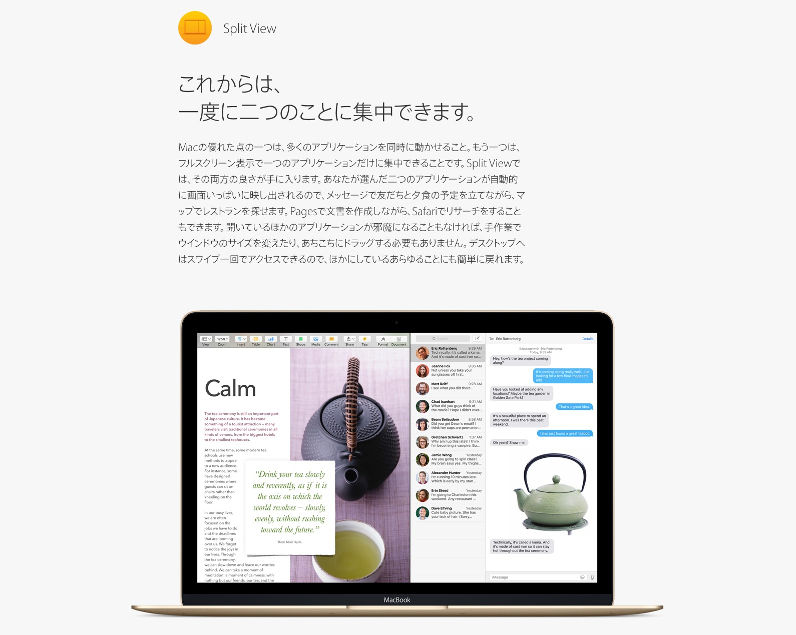 Apple   OS X El Capitan2